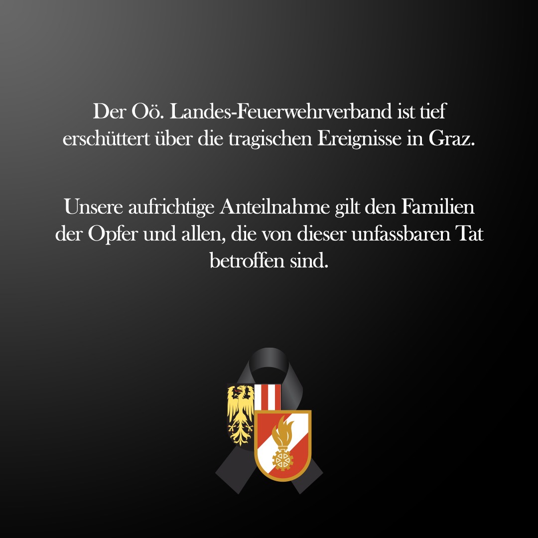 Einsatz Seewalchen (Kopie) (Kopie) (Kopie)